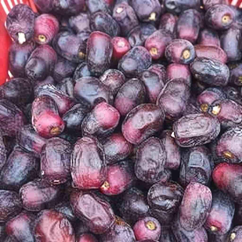خرمای مضافتی خشک با رطوبت کنترل‌شده و ماندگاری بالا